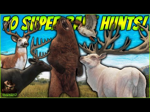 10 Insane Hunts For Super Rares! (Diamond Rares MEGAVID) Call of the wild