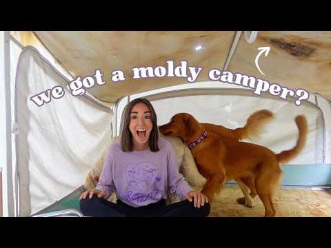 exploring our abandoned 2007 popup camper... 🏚️ 😳 | two mom family vlog!