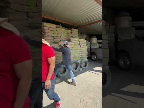 Como Cargar un Bulto de Cemento.