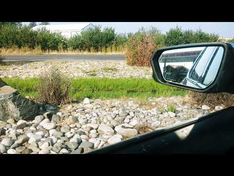 appreciating a stream 0810240927