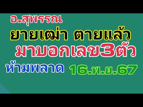 อ.สุพรรณ.เลขผียายเฒ่ามาบอก3ตัวหางเดียว16.พ.ย.67