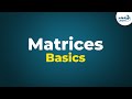 Exploring the Basics of Matrices