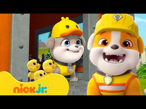 رابل و الطاقم | مركبات موتور المدهشة! | نيكلوديون | Nick Jr. Arabia