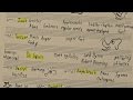 Understanding Poetic Feet and Meter