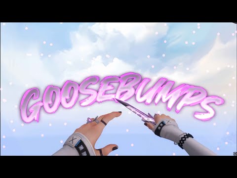 Valorant "Goosebumps" Montage