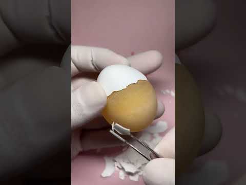 기네스북 도전 | 알"고리즘 냥줍냥줍