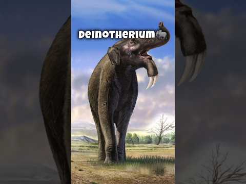 Animals That Went Extinct Before We Were Born #extinctanimals #rareanimals #animalfacts #animals