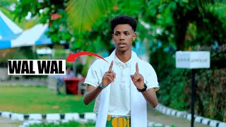 WAL WAL DHAANTO CUSUB KAAMIL YARE NEW VIDEO DHAANTO 2025