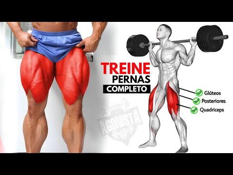 7 Exercícios Treino de Pernas Insado Completo para coxas grossas e mais densas