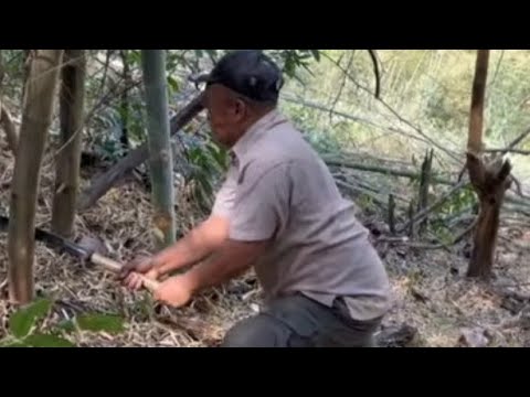 2 March 2026 Helping my nephews at the mountain #Deportee in Laos