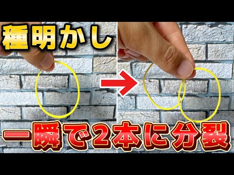 【種明かし】一瞬で場が盛り上がる輪ゴムマジック【magic trick】