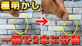 【種明かし】一瞬で場が盛り上がる輪ゴムマジック【magic trick】