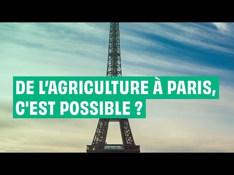De l'agriculture en ville : c'est possible ?