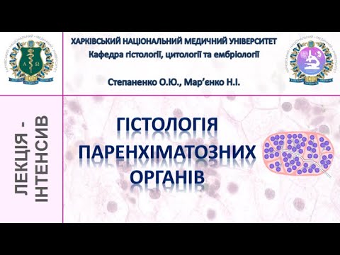 Гістологія паренхіматозних органів