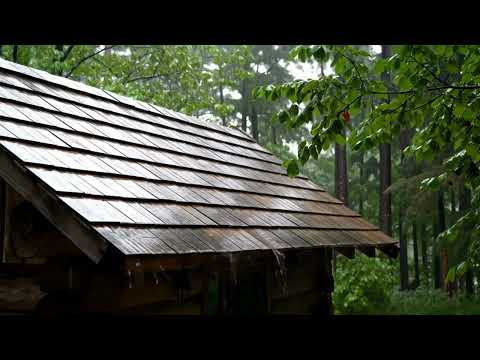 Rain Sounds for Deep Rest and Mental Clarity