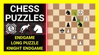 Chess Puzzles to Practice. Themes: Endgame, Long puzzle, Knight endgame. Learn Chess