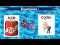 Exploring Long Vowels and Silent e