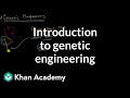 Exploring Genetic Engineering Concepts