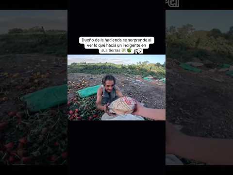 Esto es un trabajo digno 🫑👨‍🌾crd:RADIOMOJARRA🎥YT #farmer #agriculture #plants #ranchlife