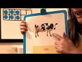 Exploring the ow ou Diphthong Phonics