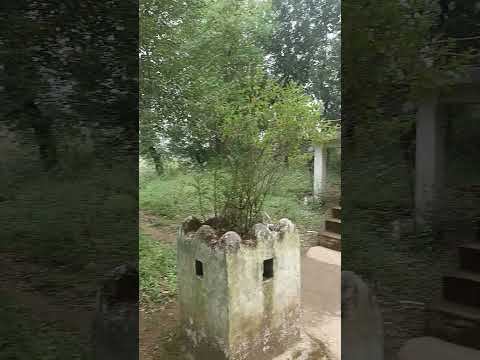 har har Mahadev 🙏🙏🌹🌹🙏🙏 short..#video.#viral