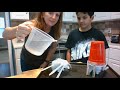 Umbrella Design and Testing Activity