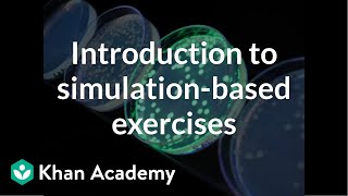 Introduction to simulation-based exercises