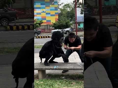 El Cambiazo โจ FELIZ ๐๐คฃ๐ PRANK FUNNY #funny #bromas #humor #comedy #comedia #prank