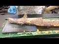 Muscle Identification and Functions