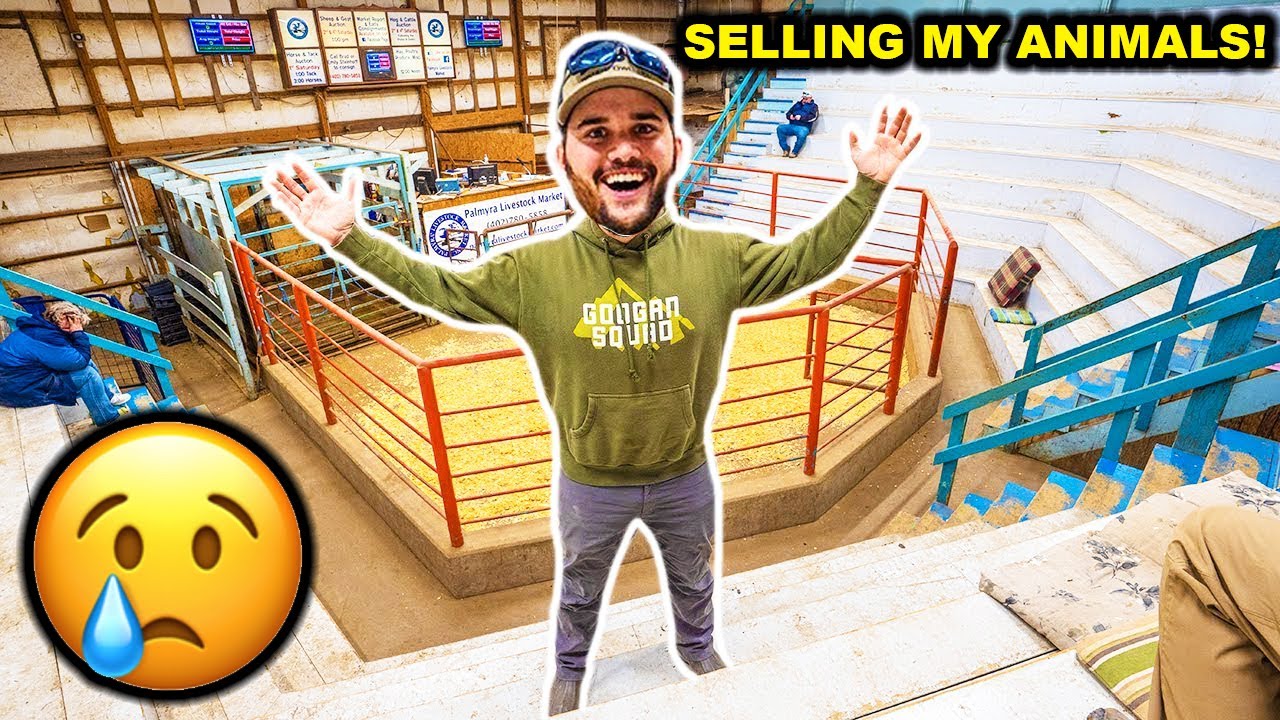 SELLING My BACKYARD FARM Animals at the AUCTION! (Emotional)