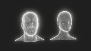 Ghostly Male and Female Head Bust 3D Model - Rigged, Animated, with Blend Shapes