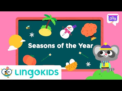 SEASONS FOR KIDS 🌺🌞🍂❄️| Learn about SEASONS VOCABULARY | Lingokids