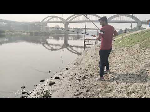 Hook fish catching video | today catching big size fish in river at village