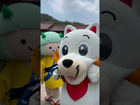 【自治体コラボ企画第13弾】広島広域都市圏・はっしー　安芸高田市へようこそ！