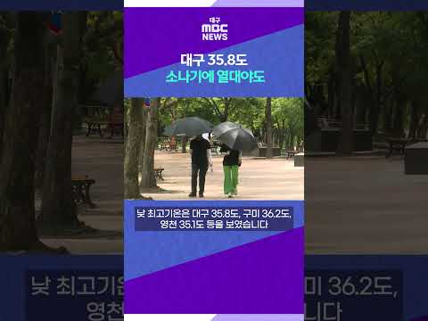 대구 35.8도···소나기에 열대야도 #shorts (대구MBC)