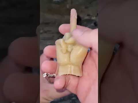 ٢٩ يناير ٢٠٢٦