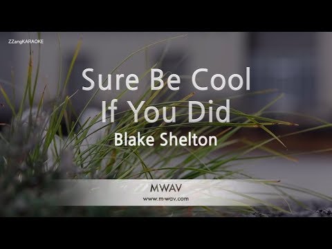 Blake Shelton-Sure Be Cool If You Did (Melody) (Karaoke Version) [ZZang KARAOKE]