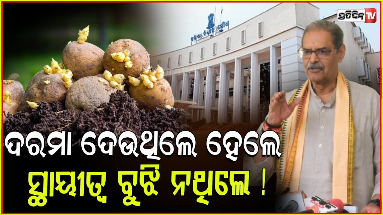 ଆଳୁ ବିହନ ନଭେମ୍ବର ପ୍ରଥମ ସପ୍ତାହରୁ ମୋହନ ସରକାର ବାଣ୍ଟିଛି। Deputy CM KV Singh deo। Potato Mission.