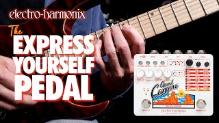 Electro-Harmonix Effectology by Bill Ruppert | Express Yourself Pedal