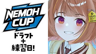 【League of Legends】nemohカップ初日！！！【 ぶいすぽっ！ / 千燈ゆうひ 】