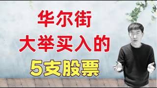 华尔街大举买入和加仓的5支股票！我的看法及买入建议