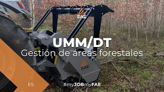 Video - FAE UMM/DT - La trituradora forestal FAE con un tractor Pfanzelt en Alemania