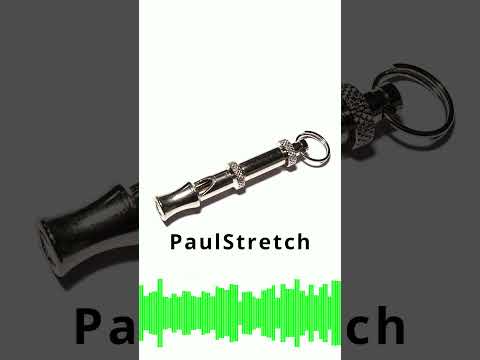Samsung Whistle Stretched 32 times (3200% speed) #shorts