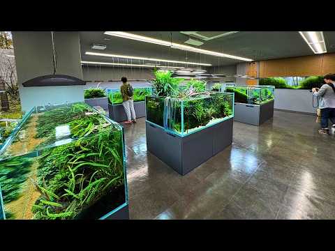 FULL TOUR OF THE ADA NATURE AQUARIUM GALLERY IN JAPAN!