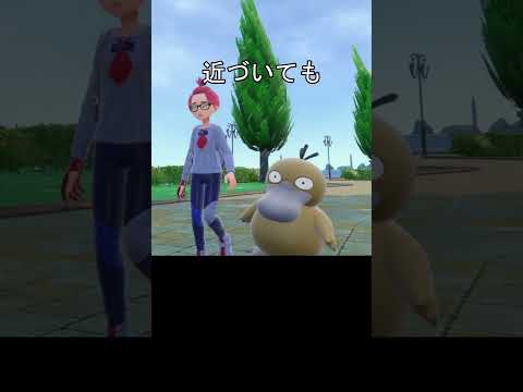 NPCポケモンの目線　比較 #ポケモン #ポケモンza #ポケモンsv