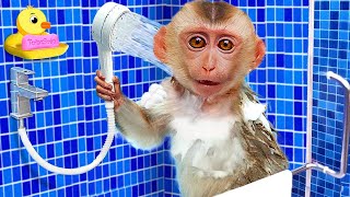 Bin Bon duck Monkey Baby Kittens Puppy Goes Koi Cat And swims Rabbits Animals Eats Egg Muckbang Asmr