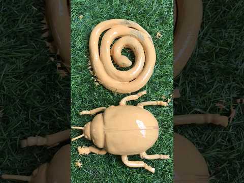 wow wao #animals