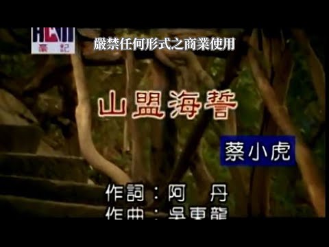 蔡小虎-山盟海誓(官方KTV版)