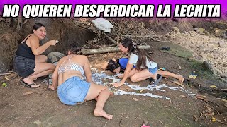 La lechita no se desperdicia con ella.
