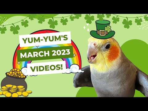 YumYum’s March Videos